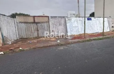 Área para alugar, brasil - uberlândia/mg - rotina imobiliária