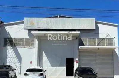 Galpão para alugar, custódio pereira - uberlândia/mg - rotina imobiliária
