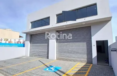 Galpão para alugar, granada - uberlândia/mg - rotina imobiliária