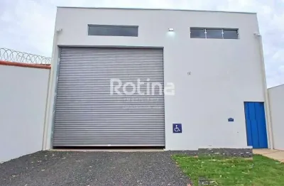 Galpão para alugar, segismundo pereira - uberlândia/mg - rotina imobiliária
