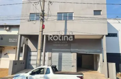 Loja para alugar, jardim botânico - uberlândia/mg - rotina imobiliária