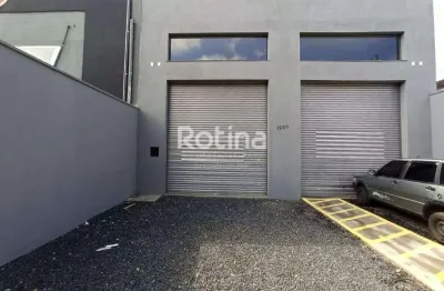 Galpão para alugar, jardim europa - uberlândia/mg - rotina imobiliária