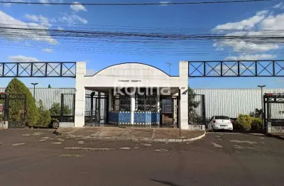 Apartamento para alugar, 3 quartos, presidente roosevelt - uberlândia/mg - rotina imobiliária