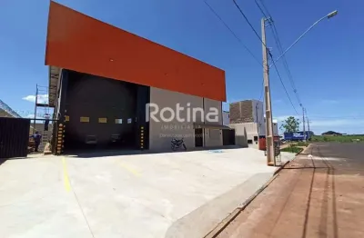 Galpão para alugar, loteamento centro empresarial leste - uberlândia/mg - rotina imobiliária