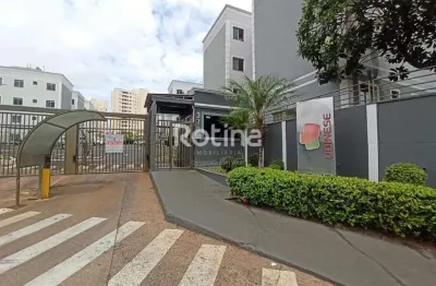 Apartamento para alugar, 2 quartos, shopping park - uberlândia/mg - rotina imobiliária
