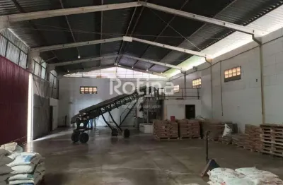 Galpão para alugar, chacaras tubalina e quartel - uberlândia/mg - rotina imobiliária