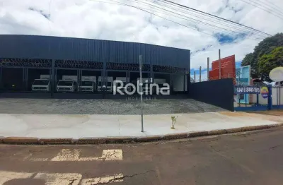 Galpão para alugar, Umuarama - Uberlândia/MG - Rotina Imobiliária