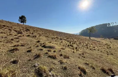 Fazenda à venda em  itapeva-mg, com 29,7 alqueires - localização privilegiada!