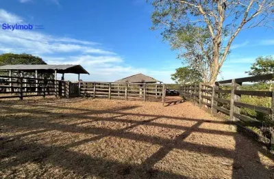 Fazenda com 895 hectares, à venda em nossa senhora do livramento/mt