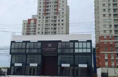 Salas para locação , 66 m² com mesanino - moinho america mall - 80 mts rotatória do jardim das américas