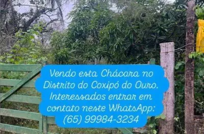 Chácara / sítio com 1 quarto à venda na Chácara Chácara / Coxipó Do Ouro, Zona Rural, Cuiabá