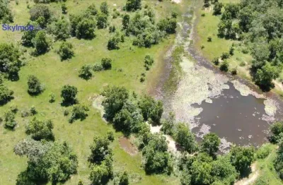 Fazenda com 4 dormitórios à venda, 10283071 m² por r$ 21.630.000 - passagem da conceição - várzea grande/mt
