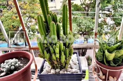 Apartamento com 1 quarto à venda na rua visconde de santa cruz, engenho novo, rio de janeiro, 50 m2 por r$ 195.000