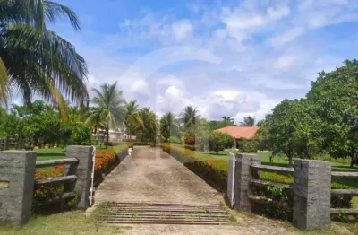 Casa com 3 quartos à venda no Centro, Estância 