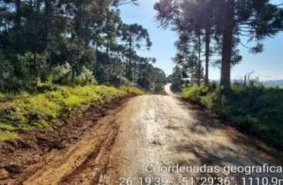 Chácara / sítio à venda na Linha Faxinal Dos Santos - Quinhão 30 - Fazenda Sto Antonio, 00, Centro, General Carneiro