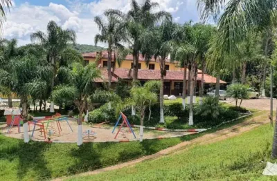 Chácara / sítio com 13 quartos à venda na Rodovia BR-277, Borda do Campo, São José dos Pinhais