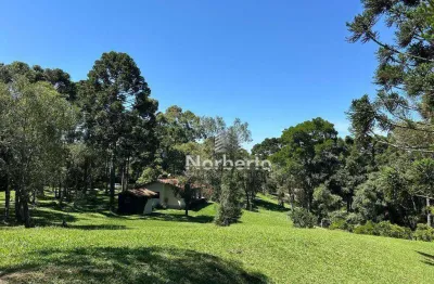 Chácara à venda, 6000 m² por r$ 1.400.000,00 - salgadinho - campo largo/pr