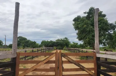 Fazenda à venda no Centro, Nobres 