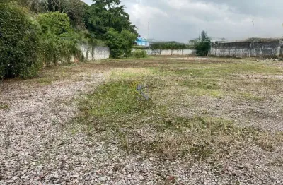 Terreno comercial para alugar no Estados, Balneário Camboriú 