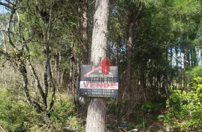 Terreno à venda, 360 m² por r$ 108.000,00 - balneário pinus park - arroio do sal/rs