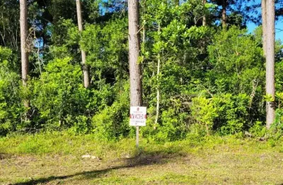 Terreno à venda, 360 m² por r$ 85.000,00 - balneário pinus park - arroio do sal/rs