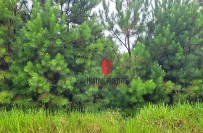 Terreno para investimento à venda, 360 m² por r$ 45.000 - balneário pinus park - arroio do sal/rs