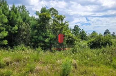 Terreno para investimento à venda, 360 m² por r$ 45.000 - balneário pinus park - arroio do sal/rs