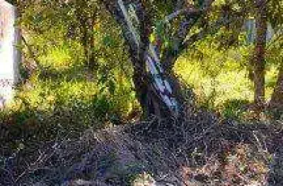 Terreno à venda no Loteamento Vale das Flores, Atibaia 
