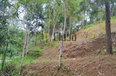 Chácara / sítio à venda na Est Do Morro Grande, 16, Morro Grande, São Lourenço da Serra