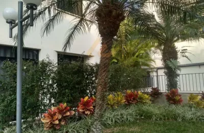 Apartamento locação 2 dormitorios ,sala , terraço ,banheiro, 1vaga