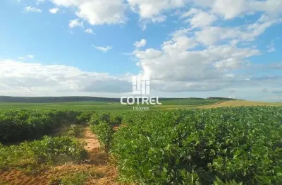 Fazenda à venda na 534, 534, Zona Rural, Cacequi