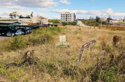 Terreno comercial situado na av. prefeito evandro behr (faixa velha de camobi) e