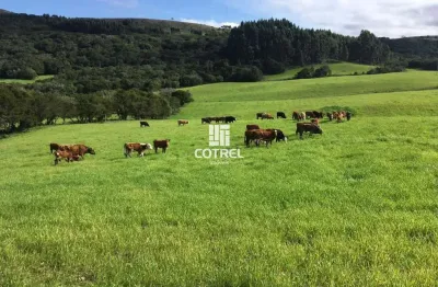 Fazenda com 609 hectares para pecuária em santana da boa vista/rs