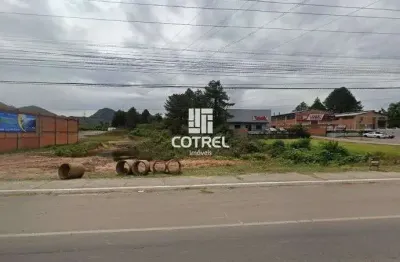 Excelente terreno a venda na faixa velha de camobi no bairro pé de plátano em sa