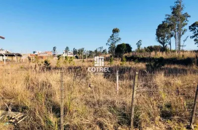Terreno comercial com 3.000m² na avenida prefeito evandro behr (faixa velha de c