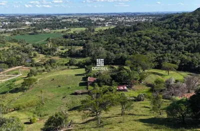 Linda chácara para venda com 7,5 hectares no bairro km3 em santa maria/rs
