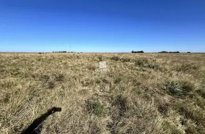 Fazenda à venda na Br 290, 1, Área Rural de Alegrete, Alegrete