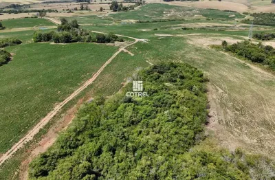 Chácara / sítio à venda na Campo Da Pedra, 00, Área Rural de São Gabriel, São Gabriel