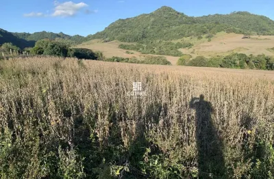 Chácara / sítio à venda na 176, 176, Zona Rural, São Pedro do Sul