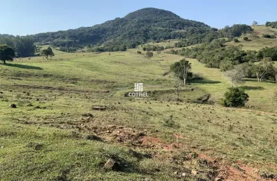 Chácara / sítio à venda na Zona Rural, 01, Zona Rural, Dona Francisca