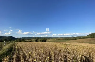 Campo para à venda com 28,54 hectares localizado em são martinho da serra/rs