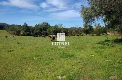 Campo para venda com 34 hectares a 18 km de santa maria/rs