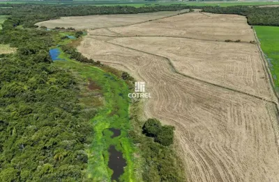 Chácara / sítio à venda na Zona Rural, S N, Zona Rural, São Sepé