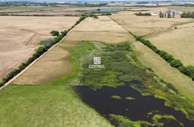Campo para venda 7 hectares no distrito de arroio do só em santa maria/rs.
