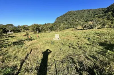 Chácara com 3.5 hectares para venda no distrito de arroio grande em santa maria/