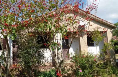 Chácara 20.3 ha  localizada na zona rural na cidade de dona francisca - rs