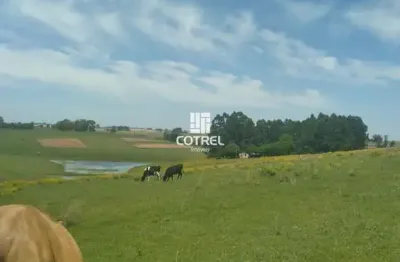 Chácara / sítio com 1 quarto à venda na Vista Alegre, 0000, Área Rural de São Gabriel, São Gabriel