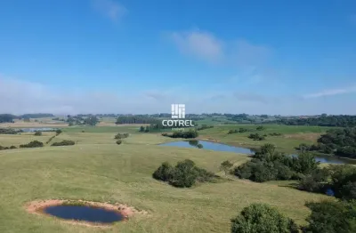 Fazenda para venda com 61,5 hectares no terceiro distrito de são sepé/rs