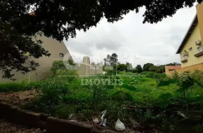 Terreno  - ribeirão preto - alto da boa vista - região sul