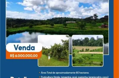 Fazenda à venda no Centro, Rio Preto da Eva 